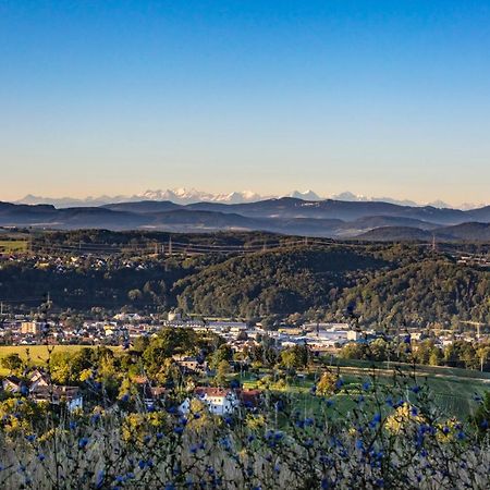 Ferienwohnung Im Alpenblick Steinen  外观 照片