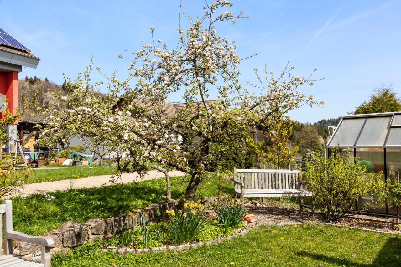 Ferienwohnung Im Alpenblick Steinen  外观 照片